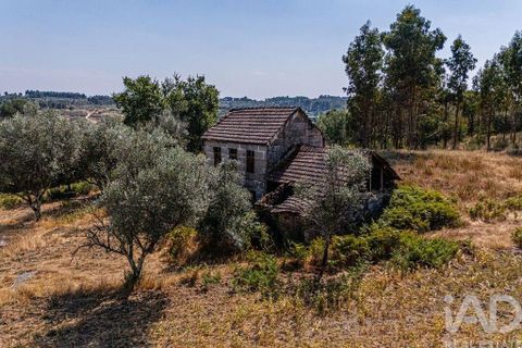 Byhus i Mangualde, Viseu, Mangualde - € 99.950 | Ref: 145848 - foto 19