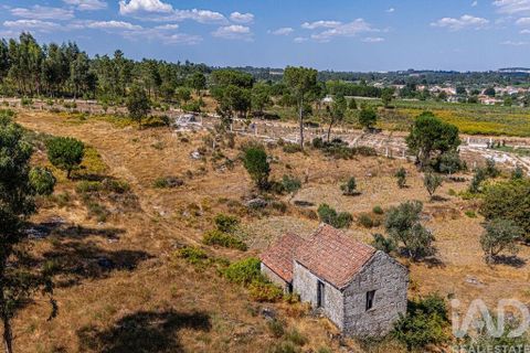Byhus i Mangualde, Viseu, Mangualde - € 99.950 | Ref: 145848 - foto 20