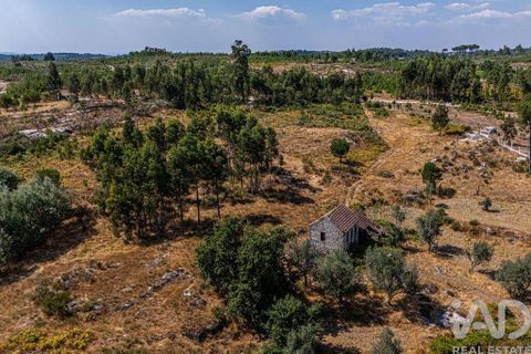 Byhus i Mangualde, Viseu, Mangualde - € 99.950 | Ref: 145848 - foto 21