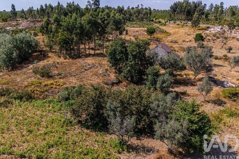 Byhus i Mangualde, Viseu, Mangualde - € 99.950 | Ref: 145848 - foto 18