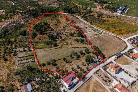 Byhus i Mangualde, Viseu, Mangualde - € 99.950 | Ref: 145848 - foto 22
