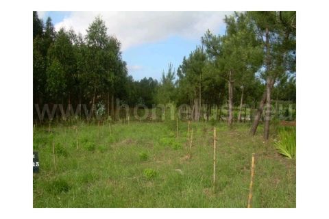 Terra a Lavos, Coimbra, Lavos - € 105.000 | Ref: F0421 - foto 2