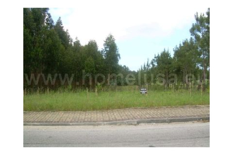 Terra a Lavos, Coimbra, Lavos - € 105.000 | Ref: F0421 - foto 3