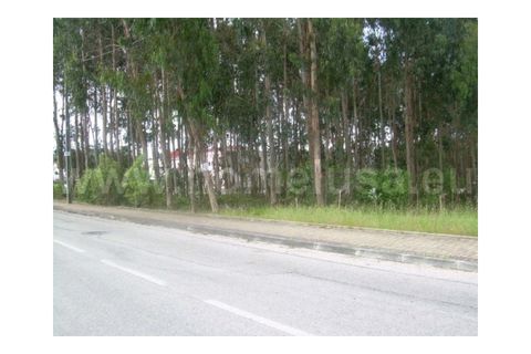 Terra a Lavos, Coimbra, Lavos - € 105.000 | Ref: F0421 - foto 4