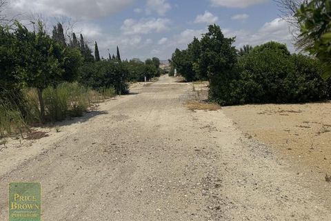 Erhvervsejendom i Vera, Almeria, Vera - € 1.350.000 | Ref: DV1594 - foto 19