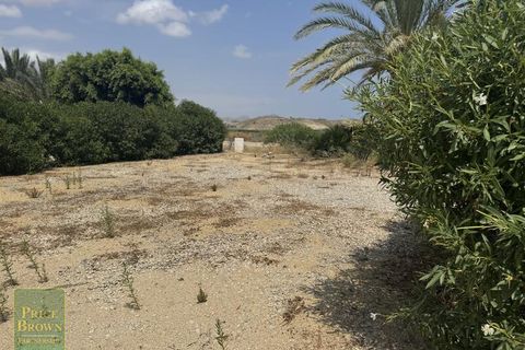 Erhvervsejendom i Vera, Almeria, Vera - € 1.350.000 | Ref: DV1594 - foto 20