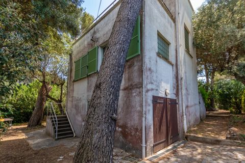 Villa i Antibes, Alpes-Maritimes, Antibes - € 2.000.000 | Ref: HH-15853645 - foto 11