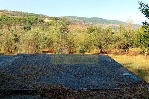 Landejendom i Penalva do Castelo, Viseu, Penalva do Castelo - € 225.000 | Ref: Q24 - foto 24