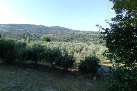 Landejendom i Penalva do Castelo, Viseu, Penalva do Castelo - € 225.000 | Ref: Q24 - foto 25