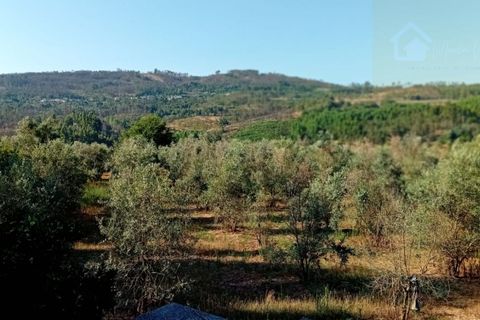 Landejendom i Penalva do Castelo, Viseu, Penalva do Castelo - € 225.000 | Ref: Q24 - foto 43