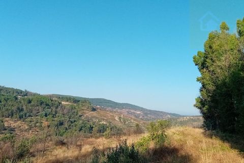 Landejendom i Penalva do Castelo, Viseu, Penalva do Castelo - € 225.000 | Ref: Q24 - foto 44