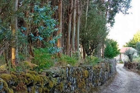 Landejendom i Penalva do Castelo, Viseu, Penalva do Castelo - € 225.000 | Ref: Q24 - foto 48