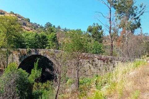 Landejendom i Penalva do Castelo, Viseu, Penalva do Castelo - € 225.000 | Ref: Q24 - foto 5