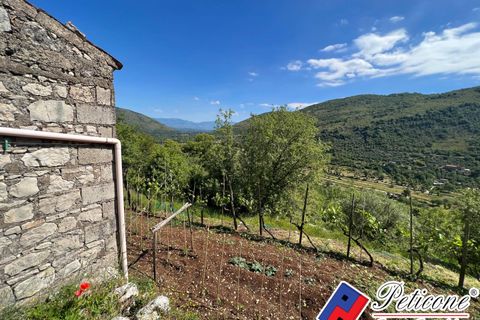 Villa i Vallecorsa, Frosinone, Vallecorsa - € 35.000 | Ref: SP117 - foto 2