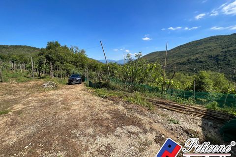 Villa i Vallecorsa, Frosinone, Vallecorsa - € 35.000 | Ref: SP117 - foto 4