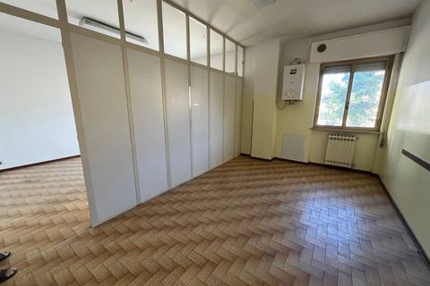 Erhvervsejendom i Vasto, Chieti, Vasto - € 175.000 | Ref: 5339 - foto 4