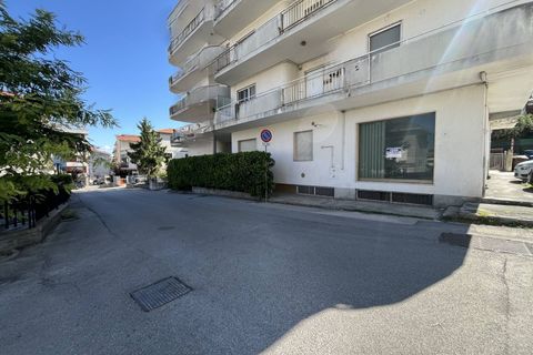 Erhvervsejendom i Vasto, Chieti, Vasto - € 175.000 | Ref: 5339 - foto 20