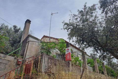 Villa i Castelo Branco, Castelo Branco, Castelo Branco - € 72.500 | Ref: 102240146 - foto 1