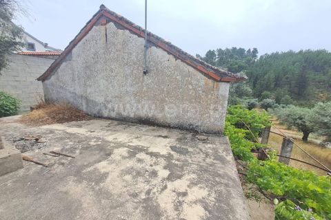 Villa i Castelo Branco, Castelo Branco, Castelo Branco - € 72.500 | Ref: 102240146 - foto 10