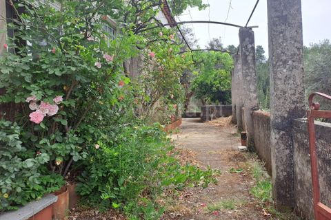 Villa i Castelo Branco, Castelo Branco, Castelo Branco - € 72.500 | Ref: 102240146 - foto 12
