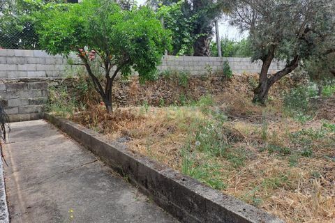 Villa i Castelo Branco, Castelo Branco, Castelo Branco - € 72.500 | Ref: 102240146 - foto 13