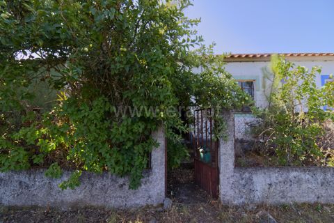 Villa i Macao, Santarem, Macao - € 47.500 | Ref: 102250117 - foto 2