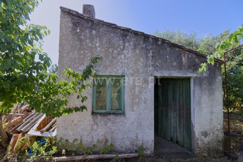 Villa i Macao, Santarem, Macao - € 47.500 | Ref: 102250117 - foto 12