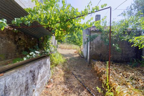 Villa i Macao, Santarem, Macao - € 47.500 | Ref: 102250117 - foto 14