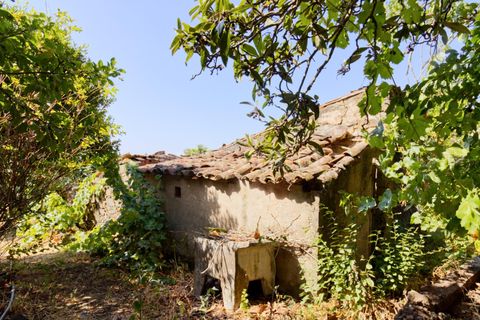 Villa i Macao, Santarem, Macao - € 47.500 | Ref: 102250117 - foto 19