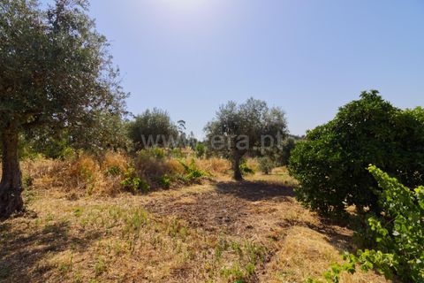 Villa i Macao, Santarem, Macao - € 47.500 | Ref: 102250117 - foto 20
