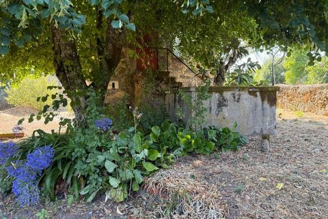 Farm i Carregal do Sal, Viseu, Carregal do Sal - € 80.000 | Ref: SALI0250 - foto 2