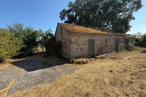 Farm i Carregal do Sal, Viseu, Carregal do Sal - € 80.000 | Ref: SALI0250 - foto 3