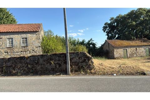Farm i Carregal do Sal, Viseu, Carregal do Sal - € 80.000 | Ref: SALI0250 - foto 4