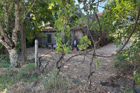 Farm i Carregal do Sal, Viseu, Carregal do Sal - € 80.000 | Ref: SALI0250 - foto 5