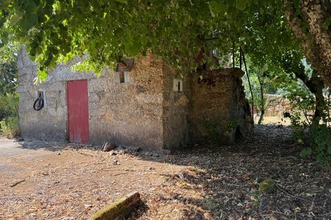Farm i Carregal do Sal, Viseu, Carregal do Sal - € 80.000 | Ref: SALI0250 - foto 6