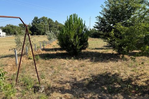 Farm i Carregal do Sal, Viseu, Carregal do Sal - € 80.000 | Ref: SALI0250 - foto 7