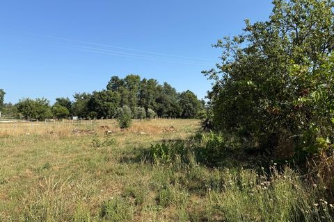 Farm i Carregal do Sal, Viseu, Carregal do Sal - € 80.000 | Ref: SALI0250 - foto 8
