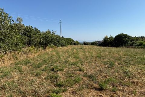 Farm i Carregal do Sal, Viseu, Carregal do Sal - € 80.000 | Ref: SALI0250 - foto 9