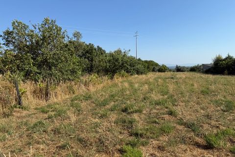 Farm i Carregal do Sal, Viseu, Carregal do Sal - € 80.000 | Ref: SALI0250 - foto 10