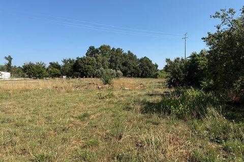 Farm i Carregal do Sal, Viseu, Carregal do Sal - € 80.000 | Ref: SALI0250 - foto 11