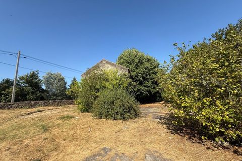 Farm i Carregal do Sal, Viseu, Carregal do Sal - € 80.000 | Ref: SALI0250 - foto 12