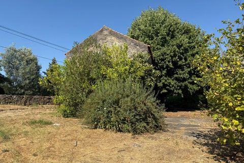 Farm i Carregal do Sal, Viseu, Carregal do Sal - € 80.000 | Ref: SALI0250 - foto 13