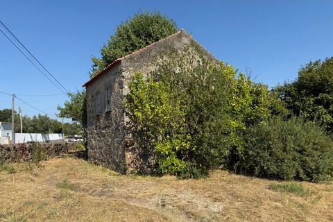 Farm i Carregal do Sal, Viseu, Carregal do Sal - € 80.000 | Ref: SALI0250 - foto 14