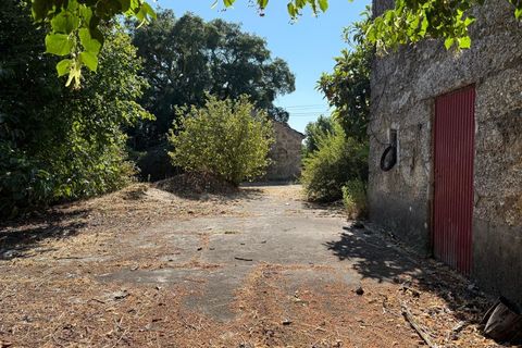 Farm i Carregal do Sal, Viseu, Carregal do Sal - € 80.000 | Ref: SALI0250 - foto 15