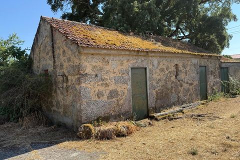 Farm i Carregal do Sal, Viseu, Carregal do Sal - € 80.000 | Ref: SALI0250 - foto 17