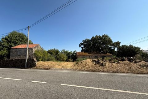 Farm i Carregal do Sal, Viseu, Carregal do Sal - € 80.000 | Ref: SALI0250 - foto 20