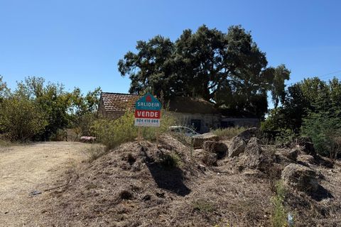 Farm i Carregal do Sal, Viseu, Carregal do Sal - € 80.000 | Ref: SALI0250 - foto 22