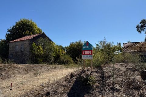 Farm i Carregal do Sal, Viseu, Carregal do Sal - € 80.000 | Ref: SALI0250 - foto 23