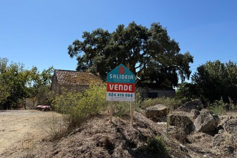 Farm i Carregal do Sal, Viseu, Carregal do Sal - € 80.000 | Ref: SALI0250 - foto 24