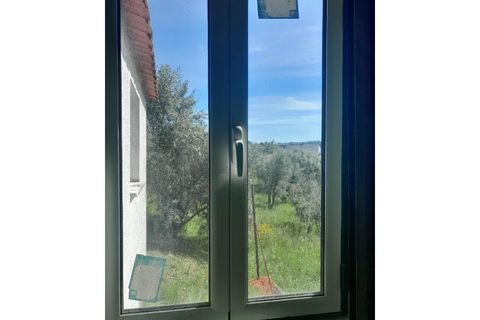 Villa i Carregal do Sal, Viseu, Carregal do Sal - € 45.000 | Ref: SALI0177 - foto 18